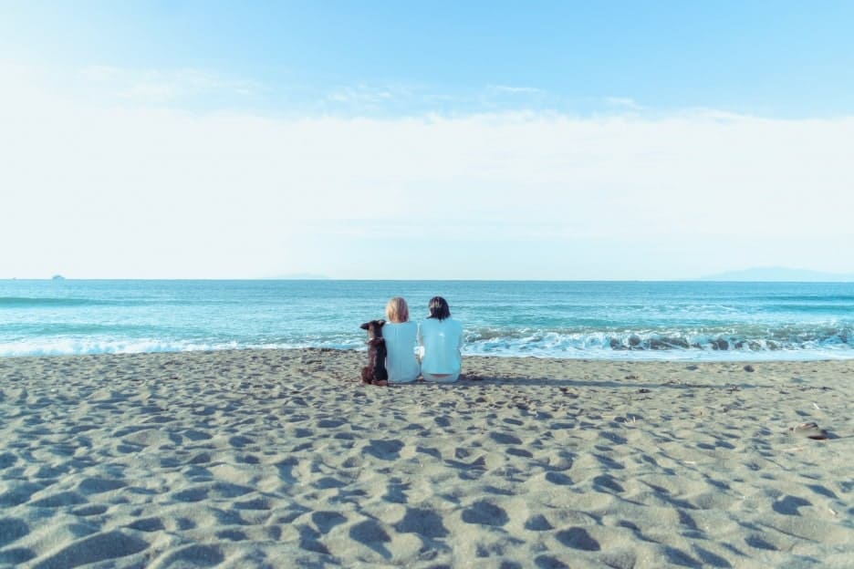 エンゲージフォト