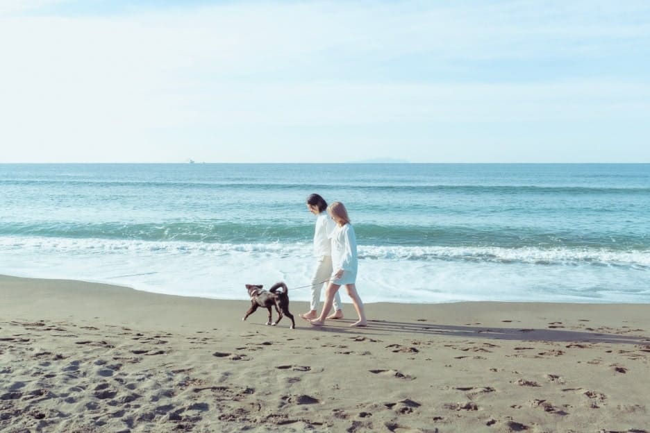 エンゲージフォト