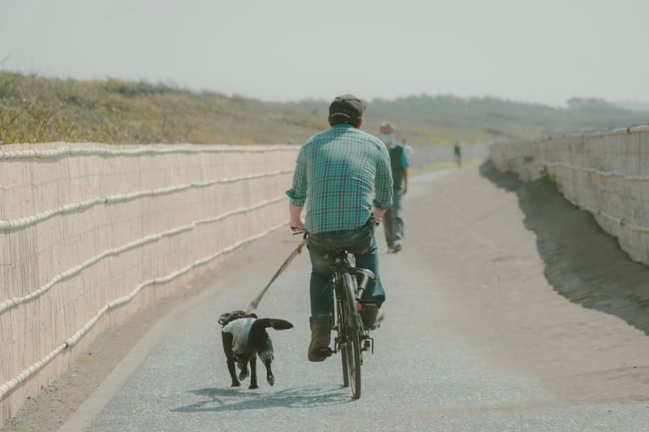 わんこファミリーフォト