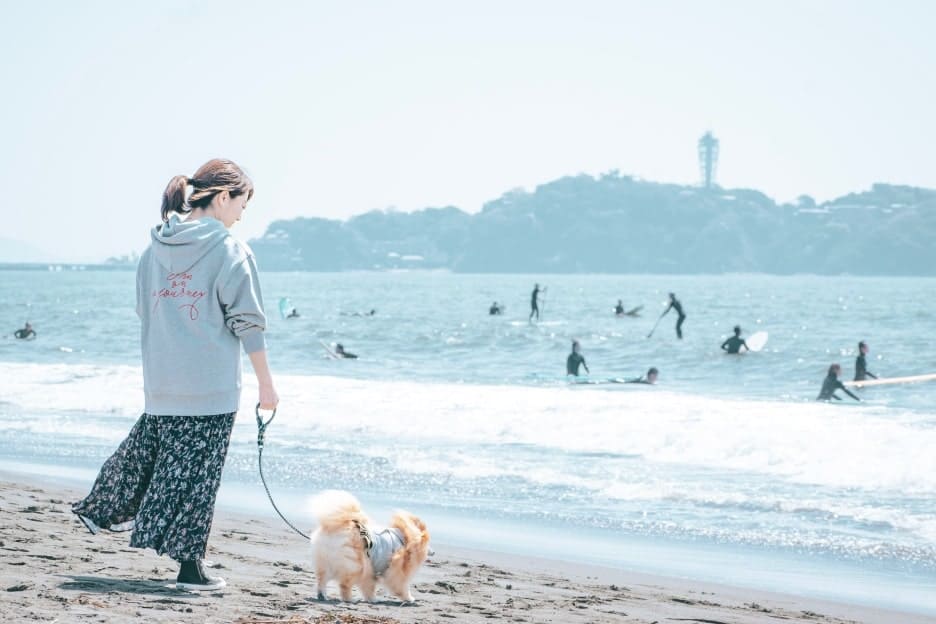 わんこファミリーフォト