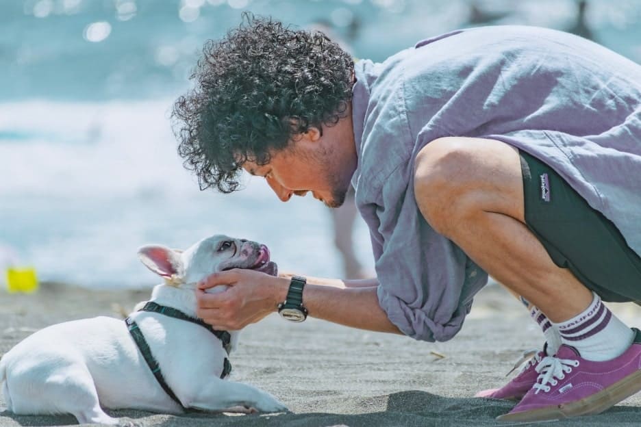 わんこファミリーフォト