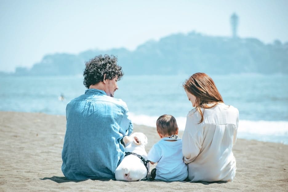 わんこファミリーフォト