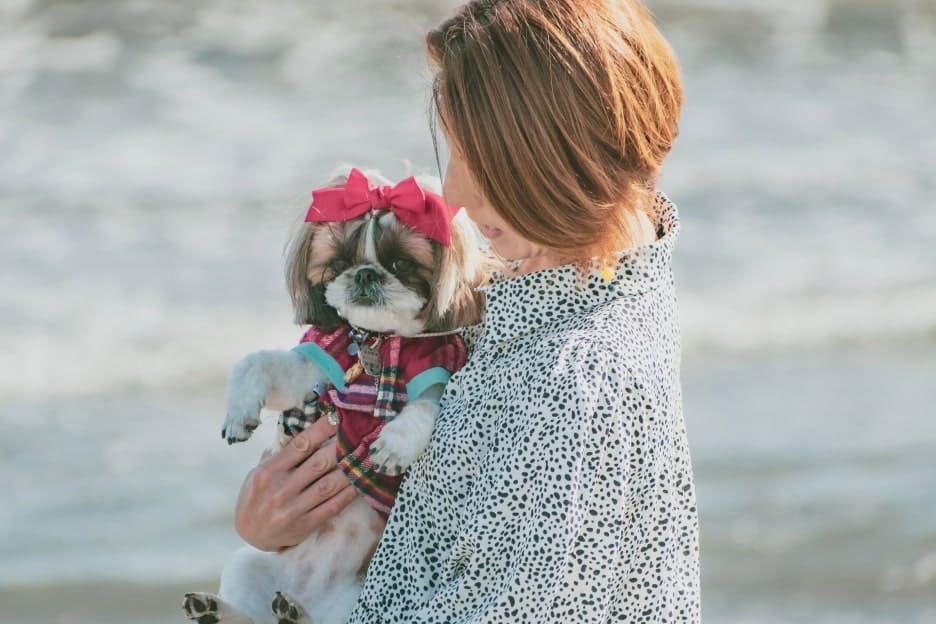 わんこファミリーフォト