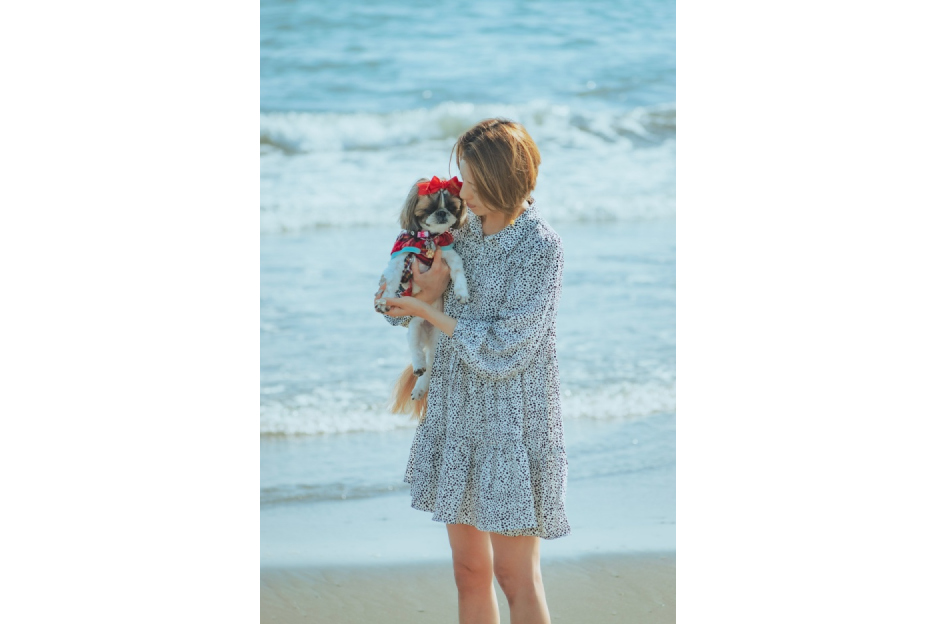 わんこファミリーフォト