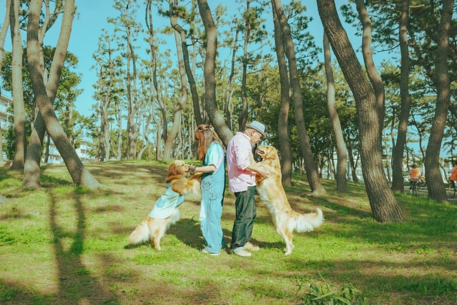 わんこファミリーフォト