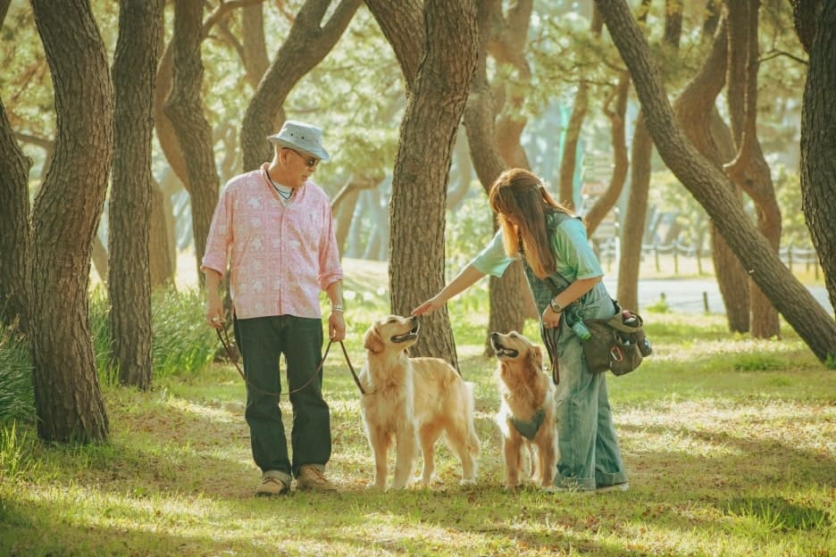 わんこファミリーフォト