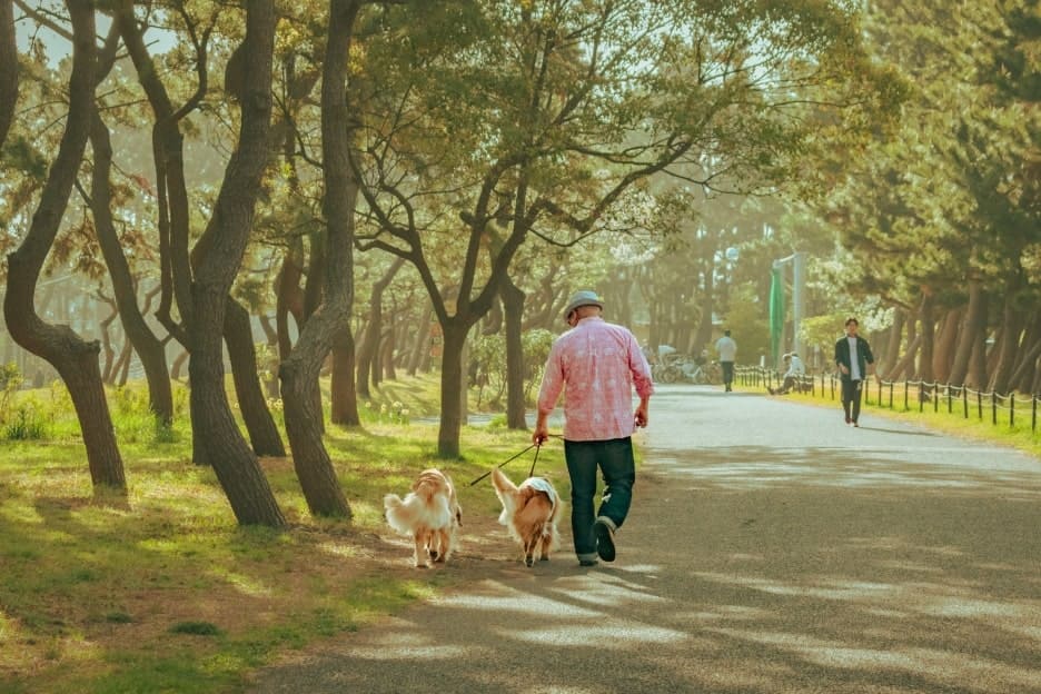 わんこファミリーフォト