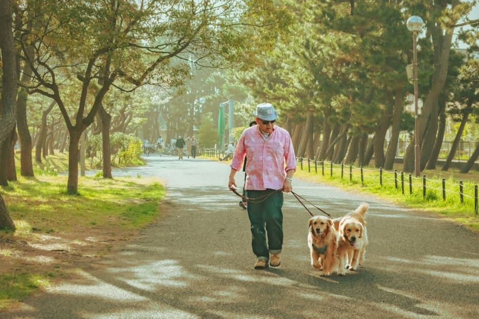 わんこファミリーフォト