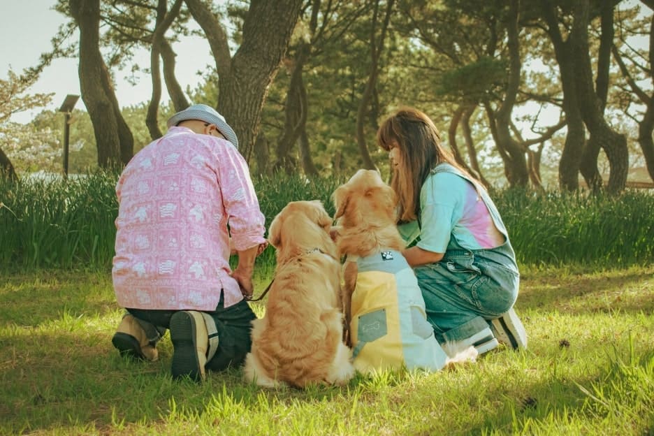 わんこファミリーフォト