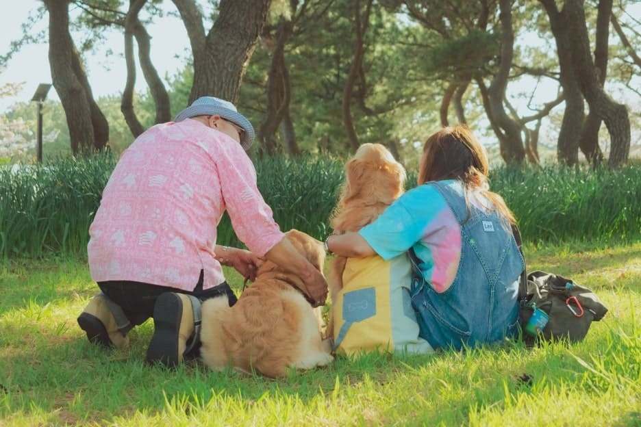 わんこファミリーフォト