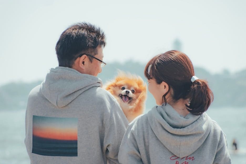 わんこファミリーフォト